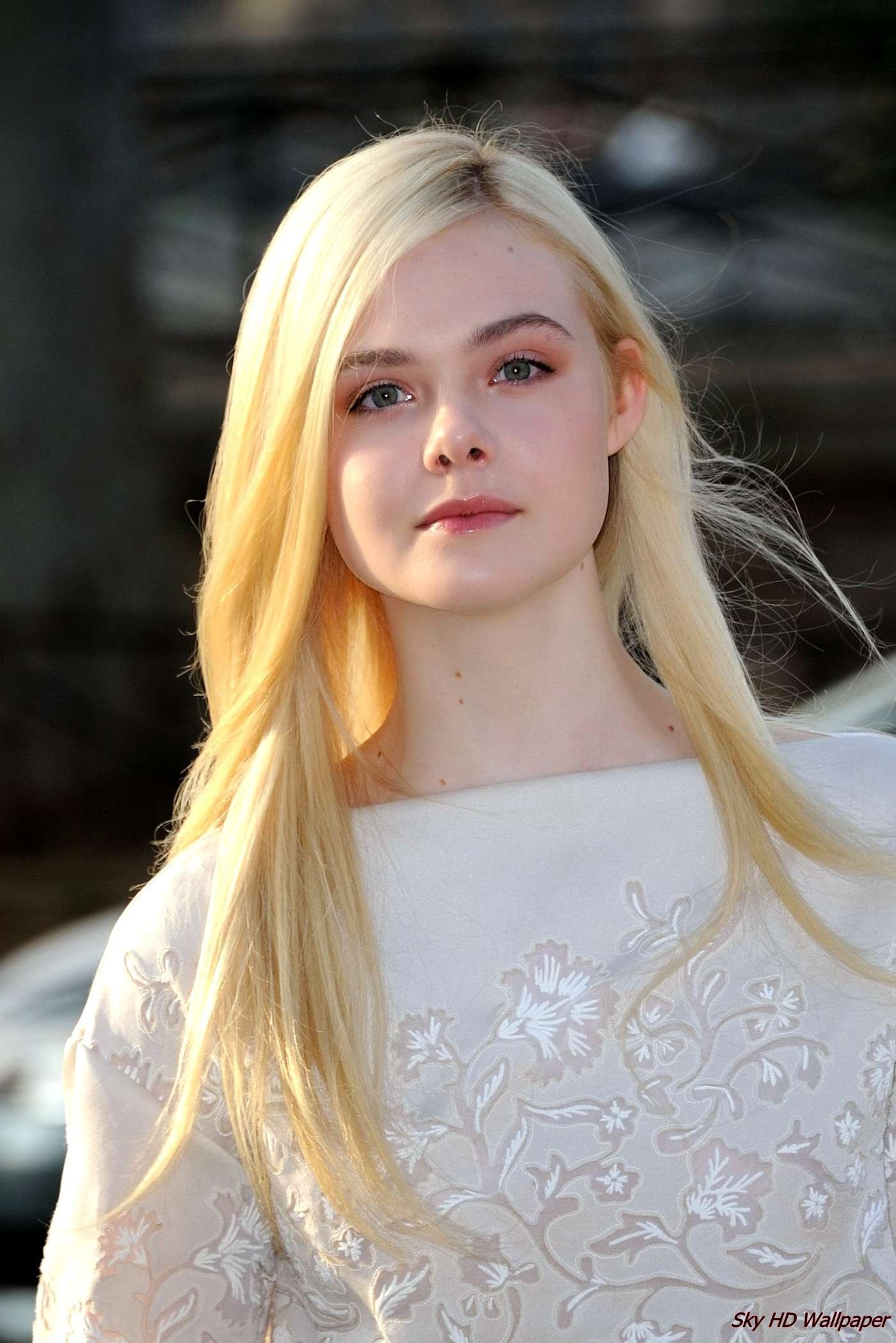 Elle Fanning 2017 Wallpapers