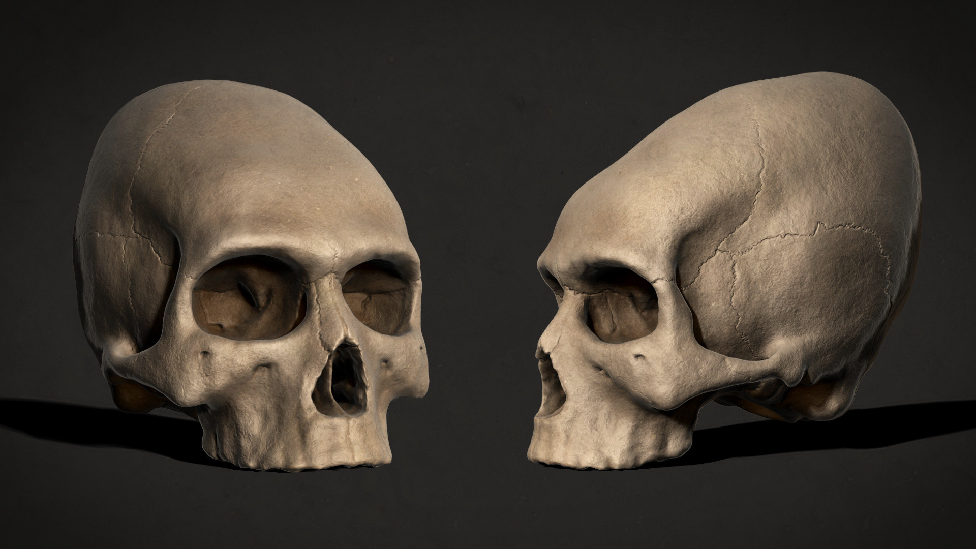 Elongated Skull Wallpapers