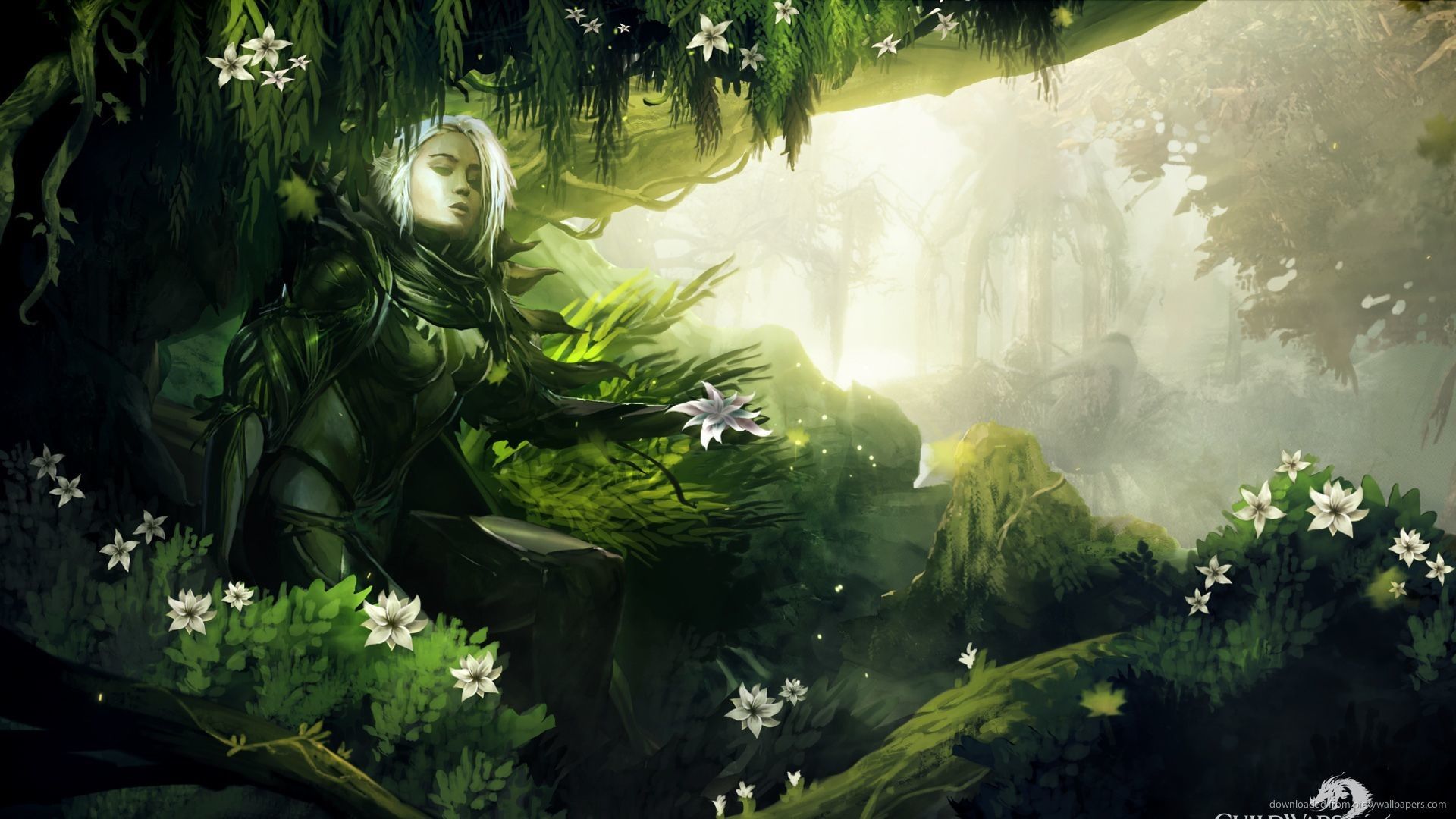 Elven Forest Wallpapers