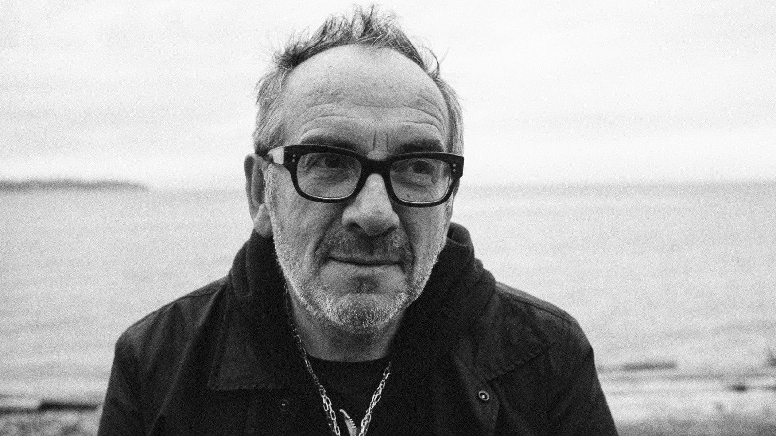 Elvis Costello Wallpapers