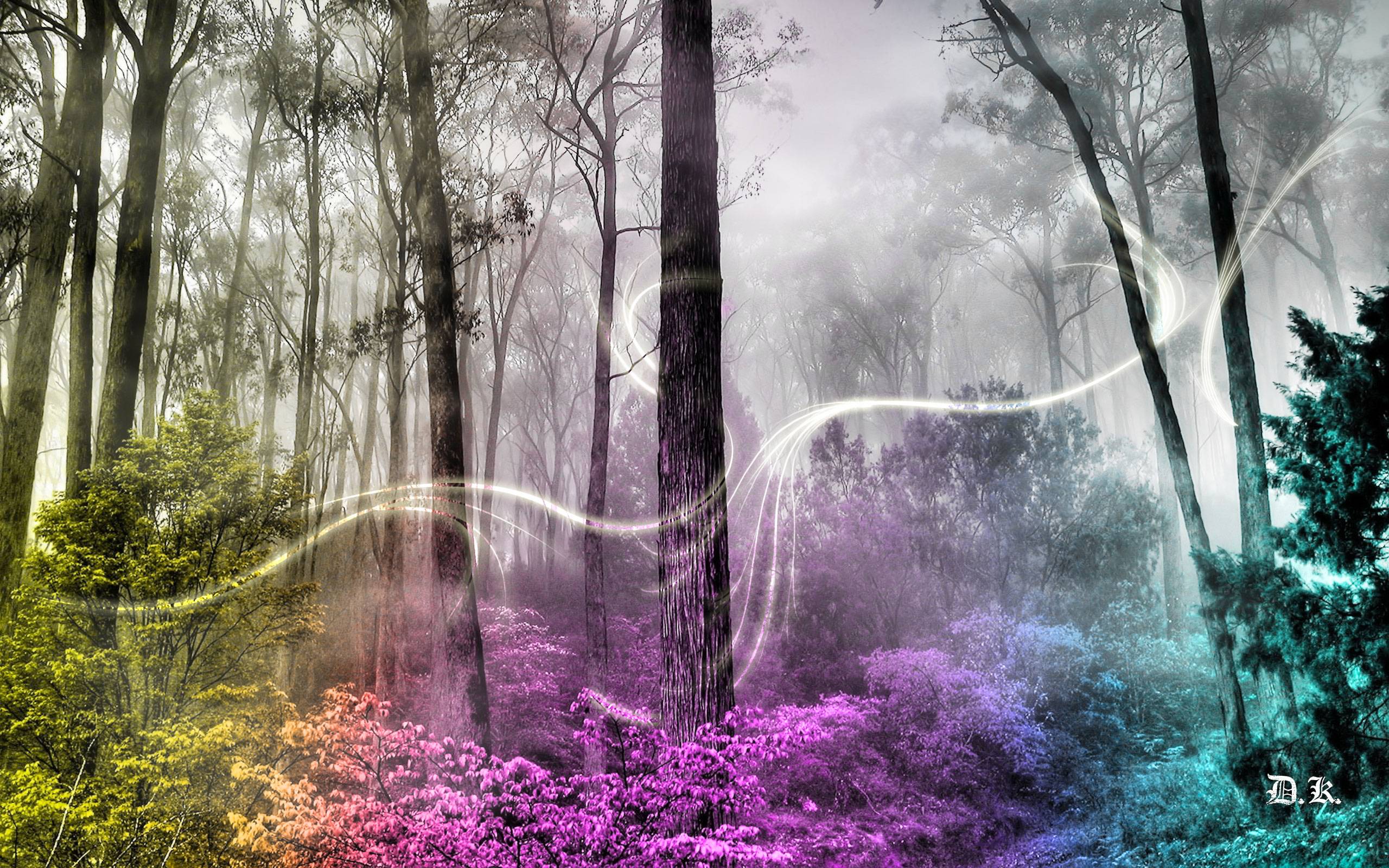 Enchanted Forest Background Tumblr