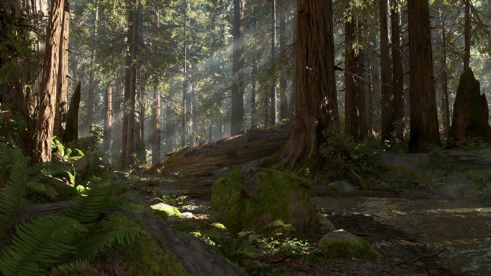 Endor Background