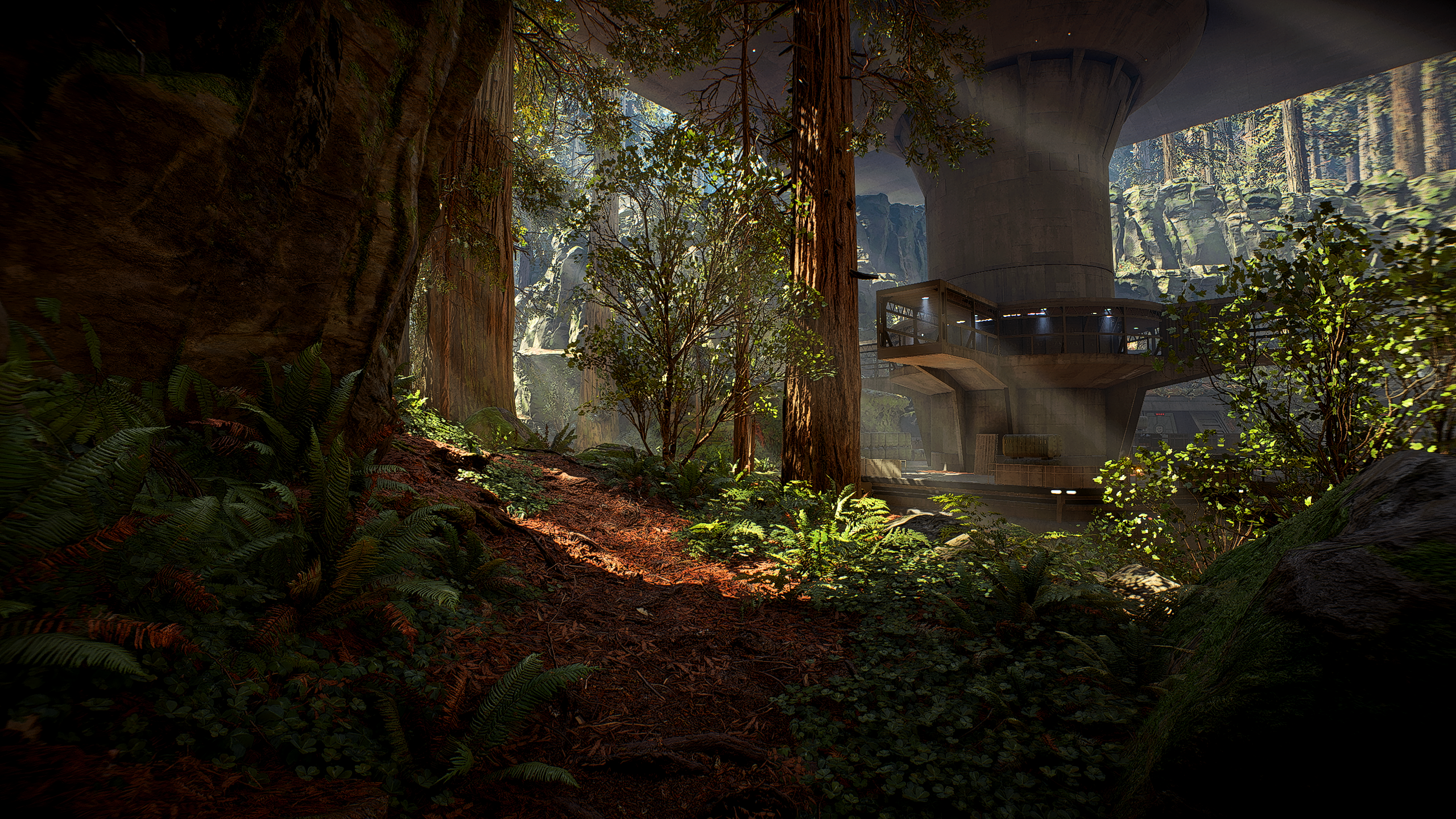 Endor Background