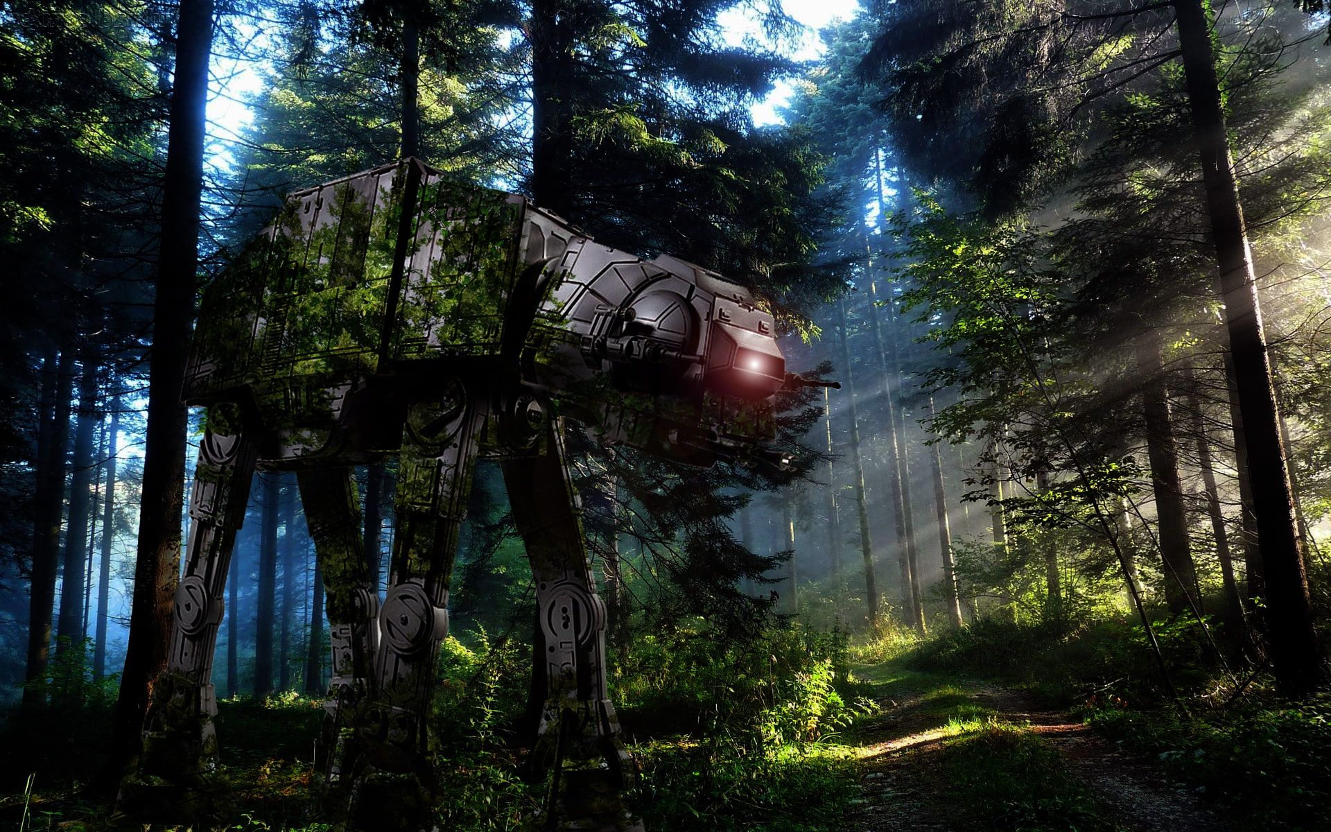 Endor Background