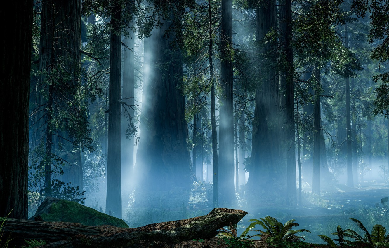 Endor Background