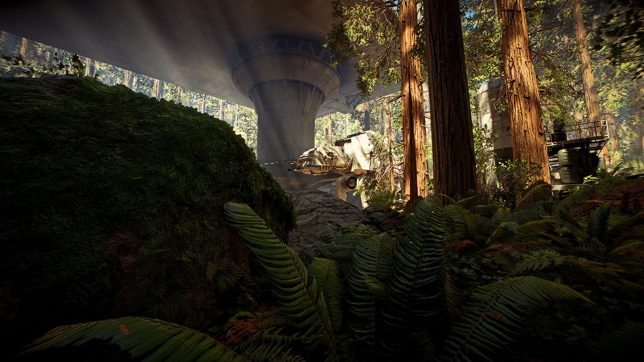 Endor Background