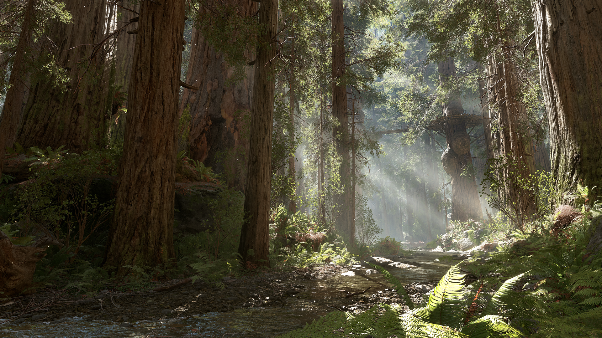 Endor Background