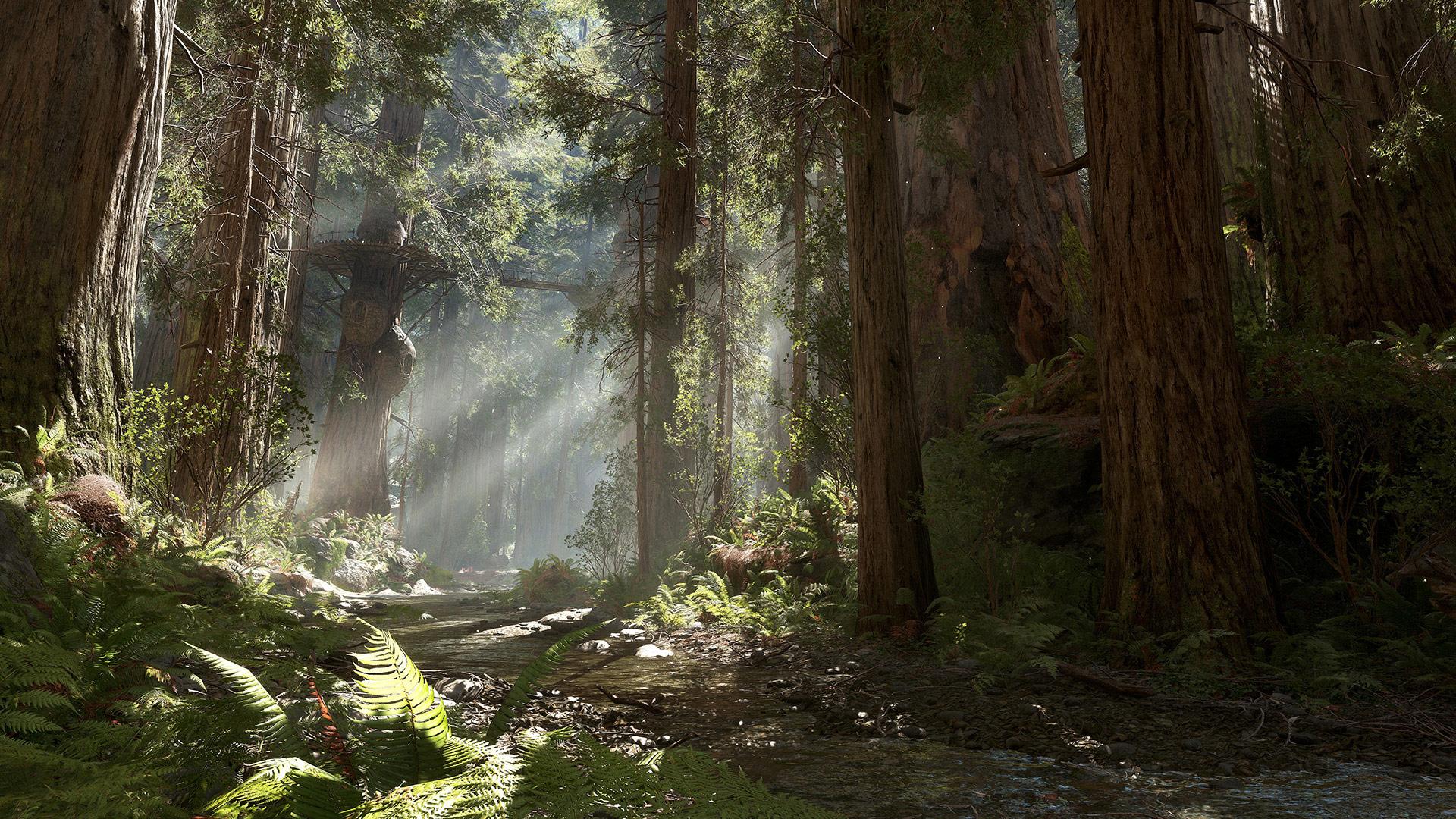 Endor Background