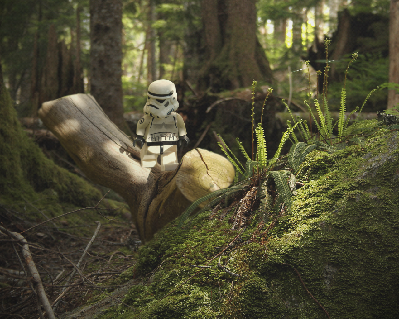 Endor Background