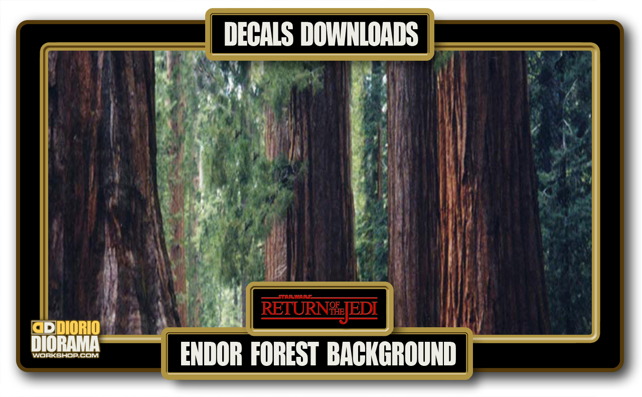 Endor Background