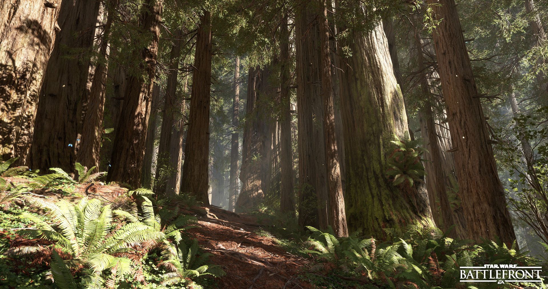 Endor Background