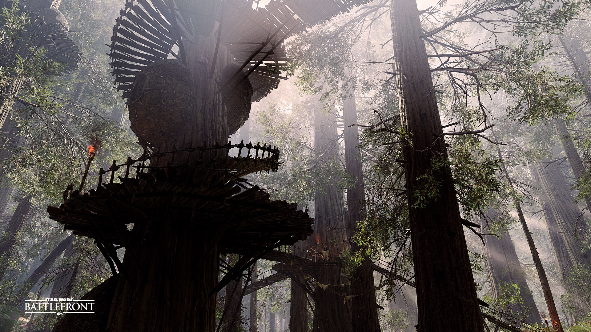 Endor Background