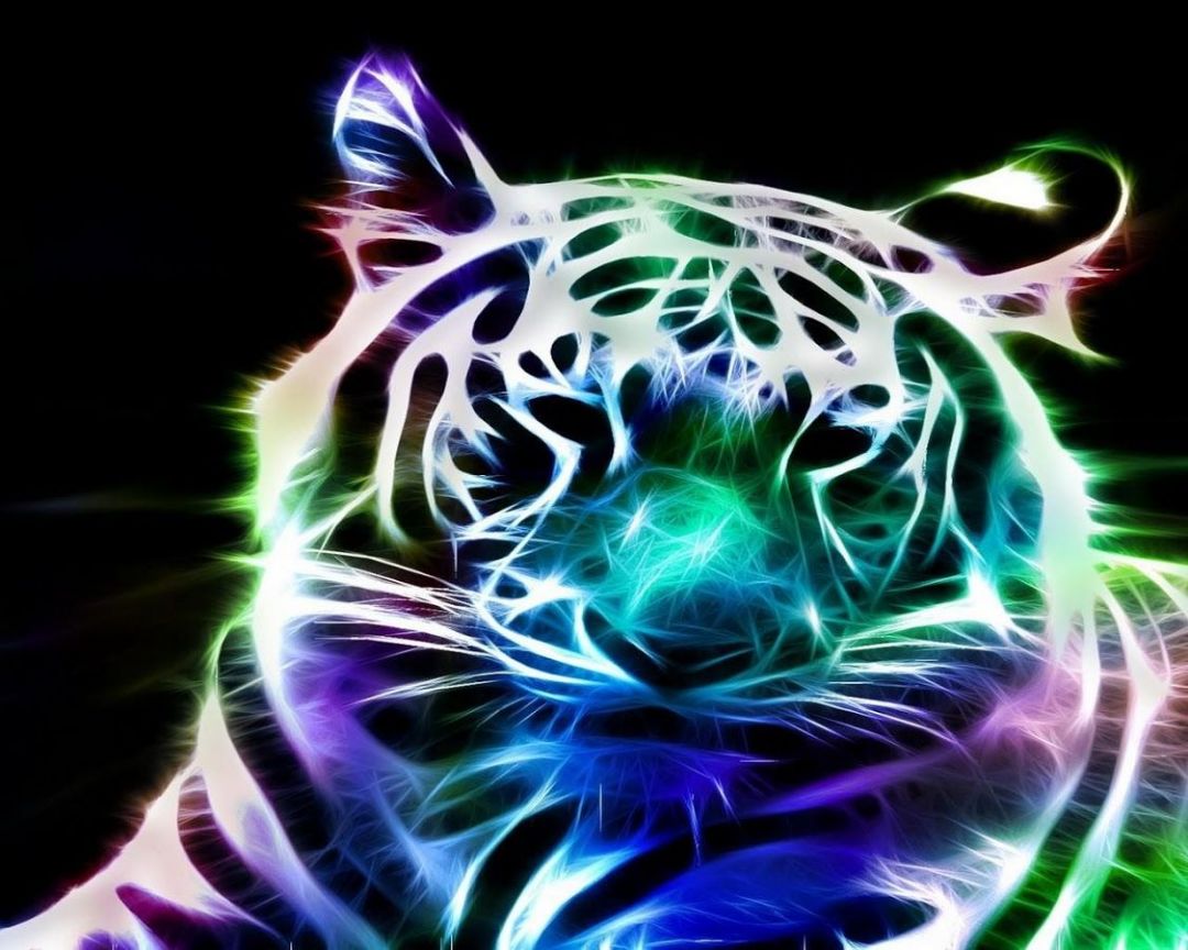 Epic Animal Pictures Wallpapers