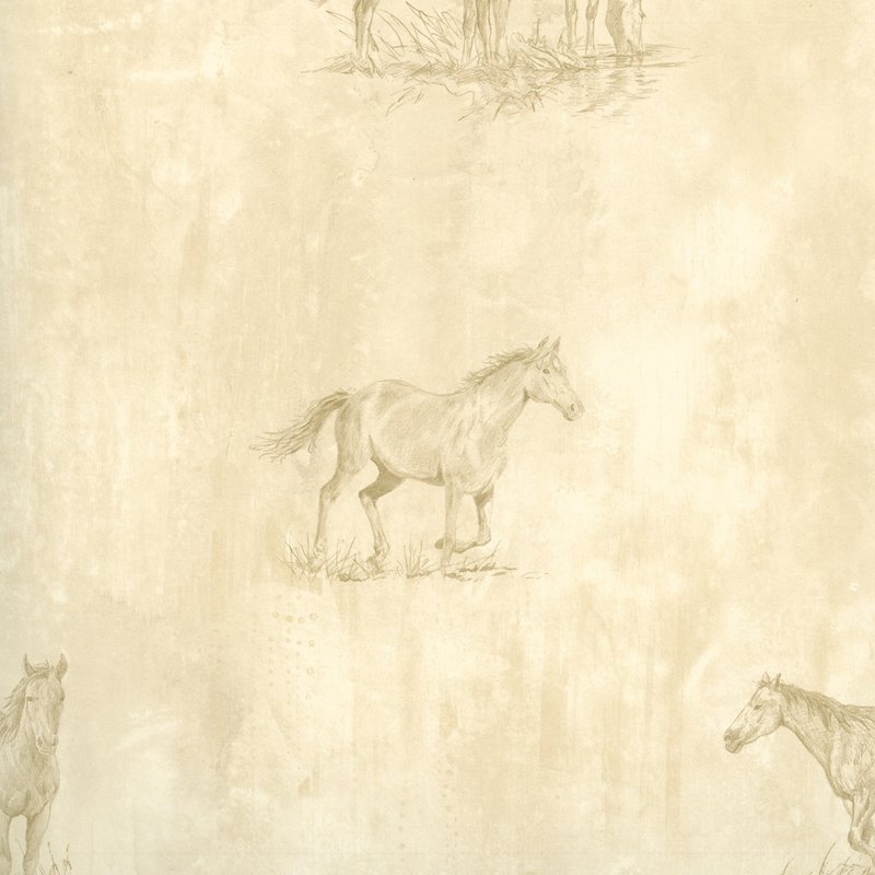 Equestrian Wallpapers