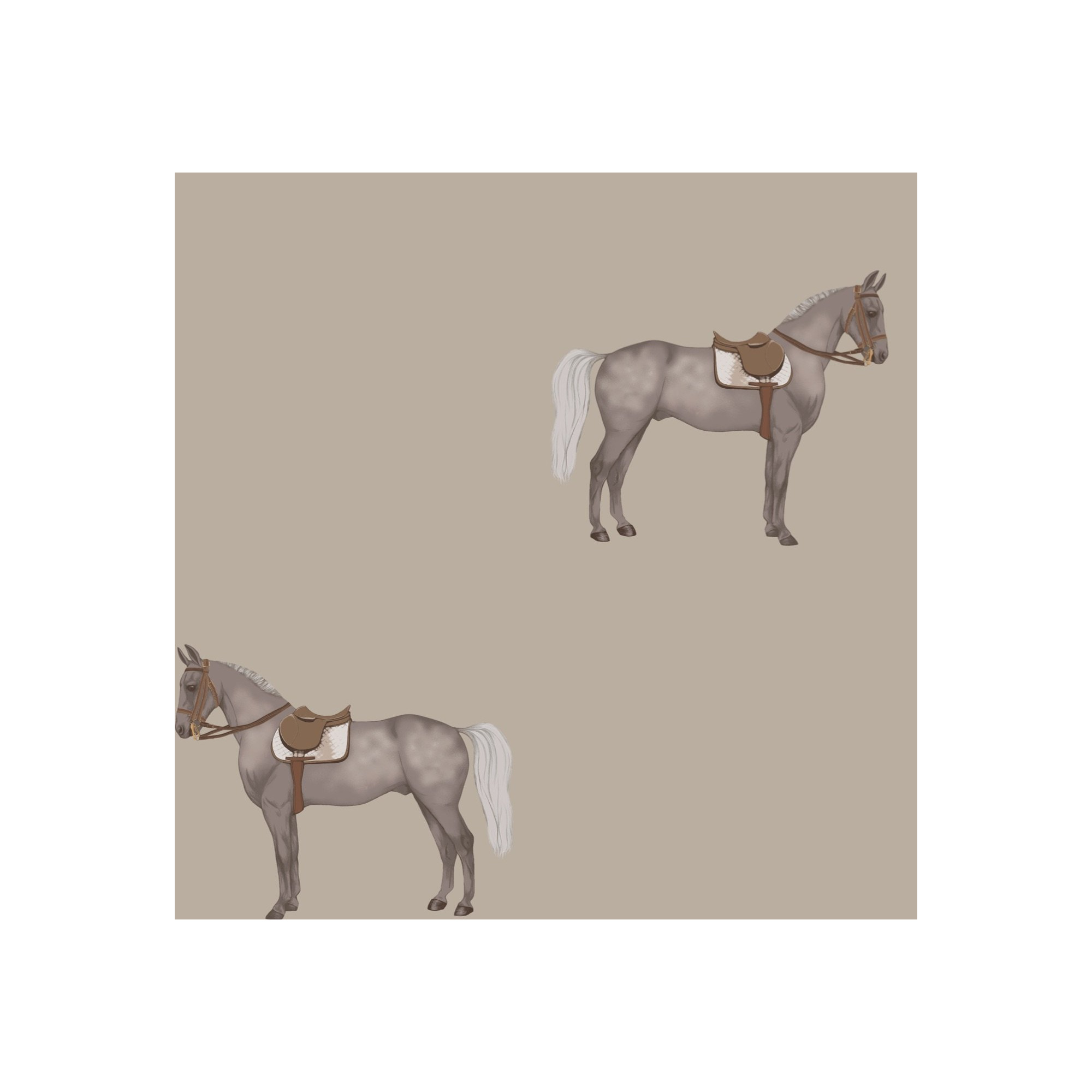 Equestrian Wallpapers