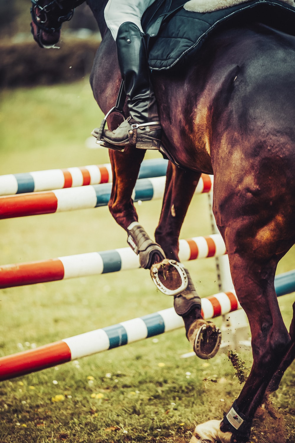 Equestrian Wallpapers