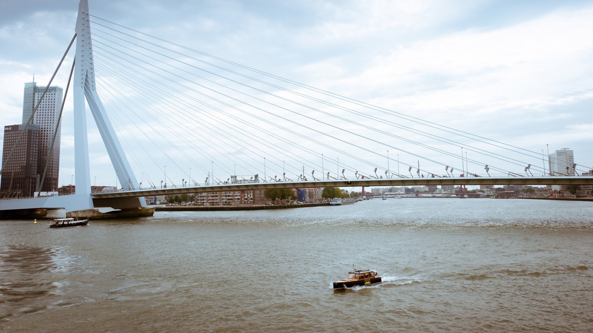 Erasmus Bridge Wallpapers