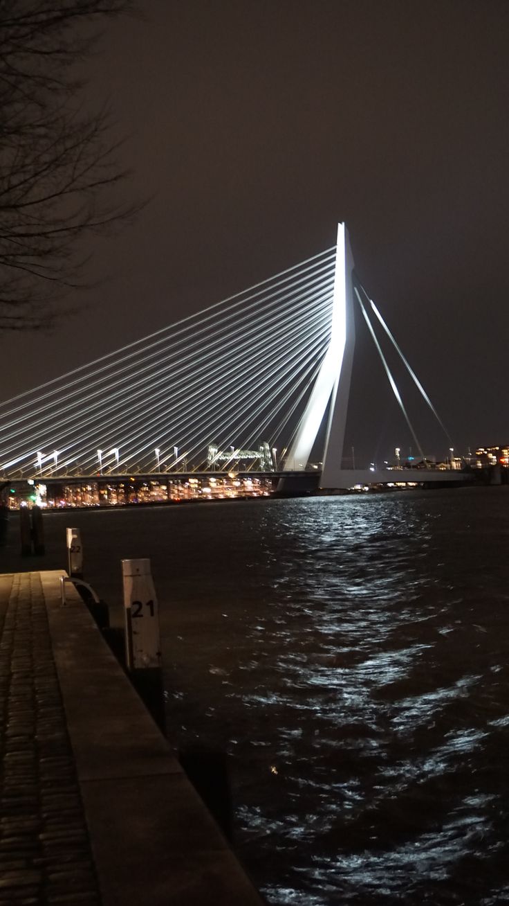 Erasmus Bridge Wallpapers