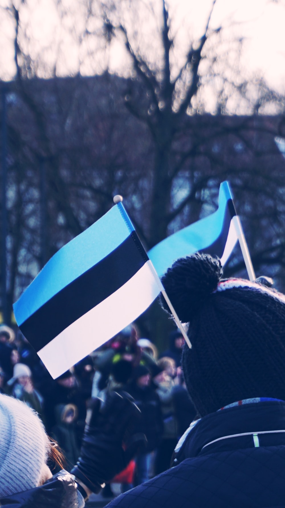 Estonia Flag Wallpapers