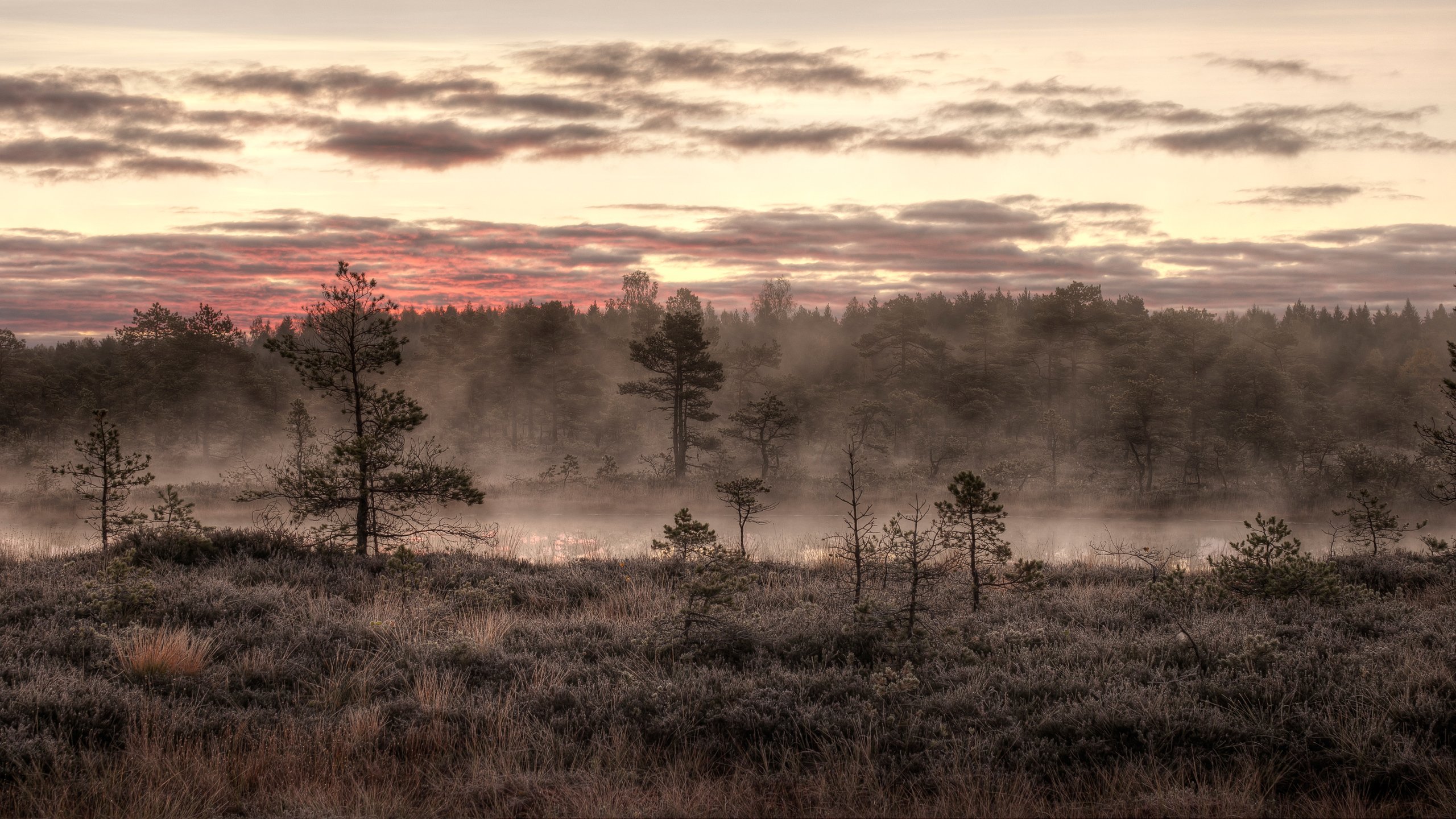 Estonia Wallpapers