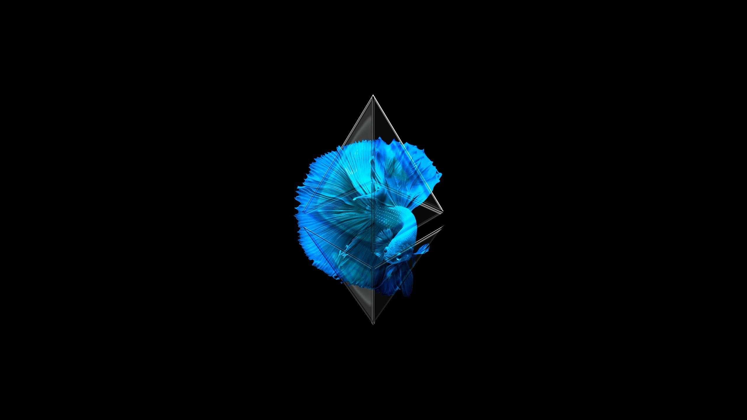 Ethereum Cryptocurrency Wallpapers