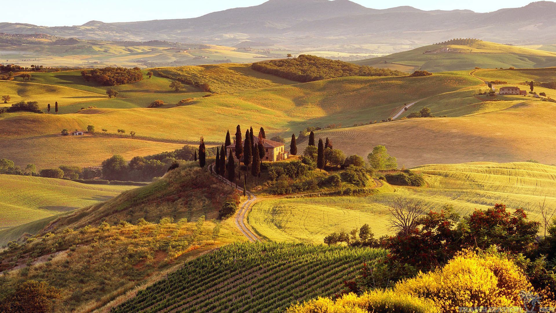 Europe Italy'S Tuscany Summer  Hills Field With House Wallpapers