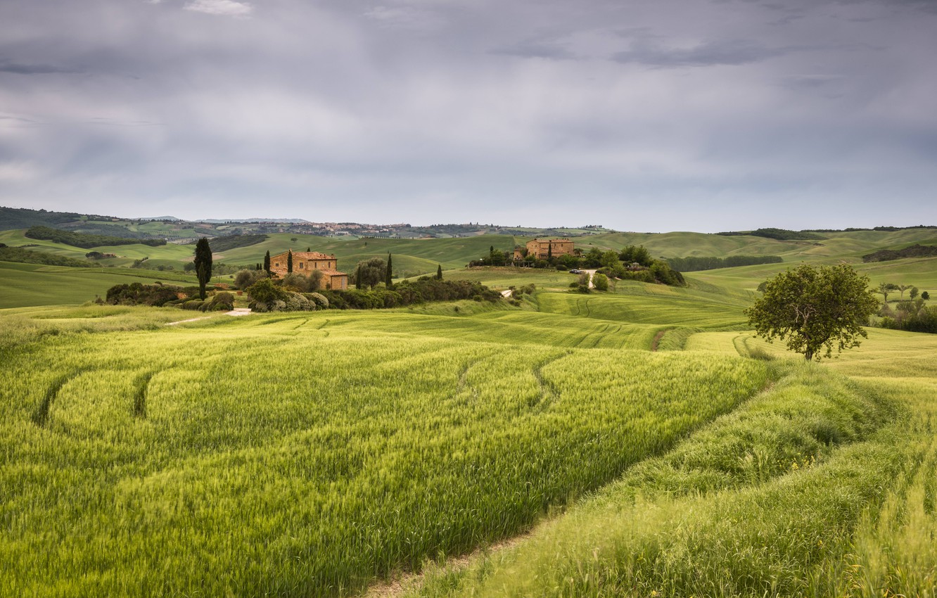 Europe Italy'S Tuscany Summer  Hills Field With House Wallpapers