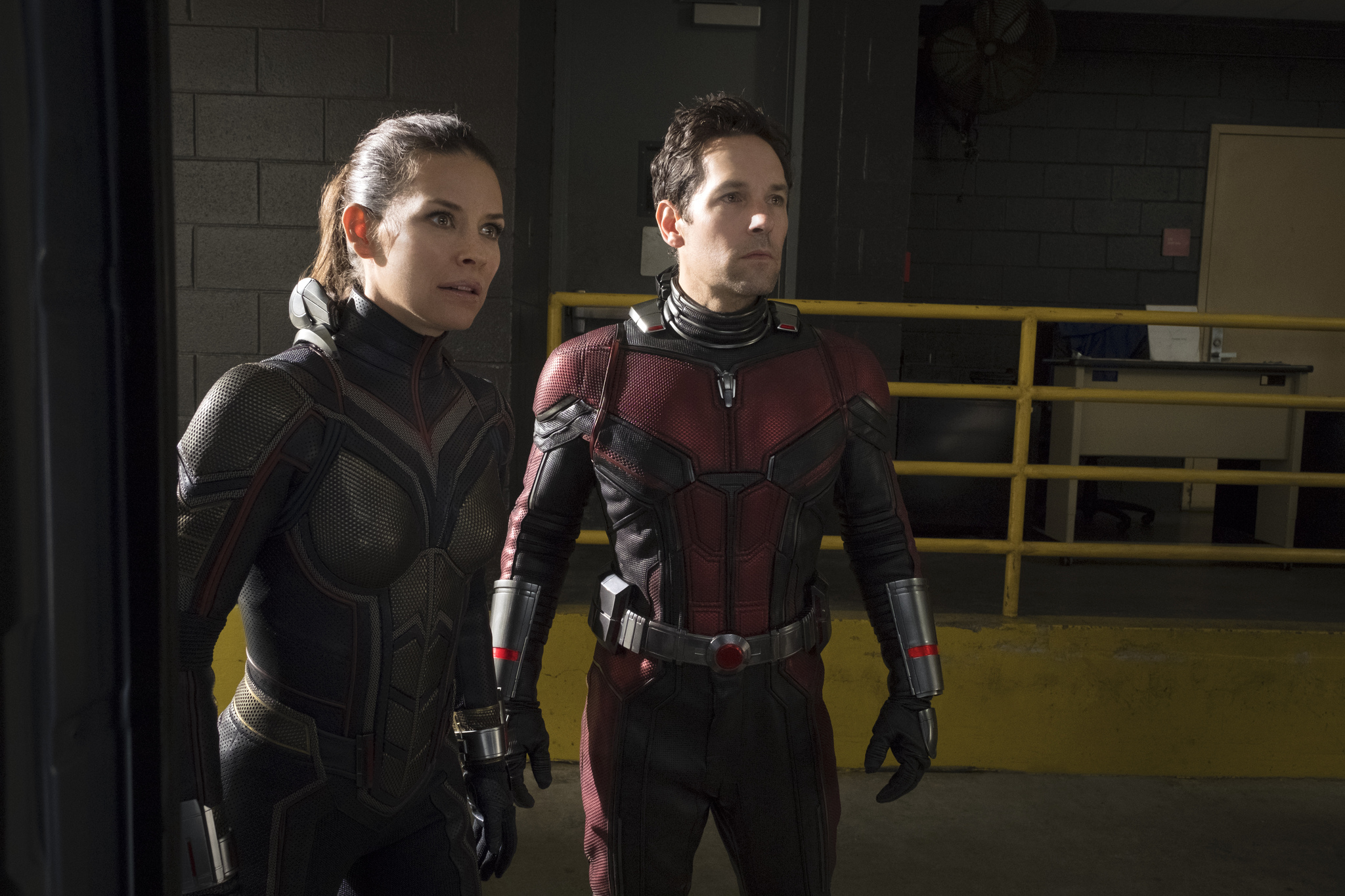Evangeline Lilly From Ant-Man And The Wasp 2018 Wallpapers