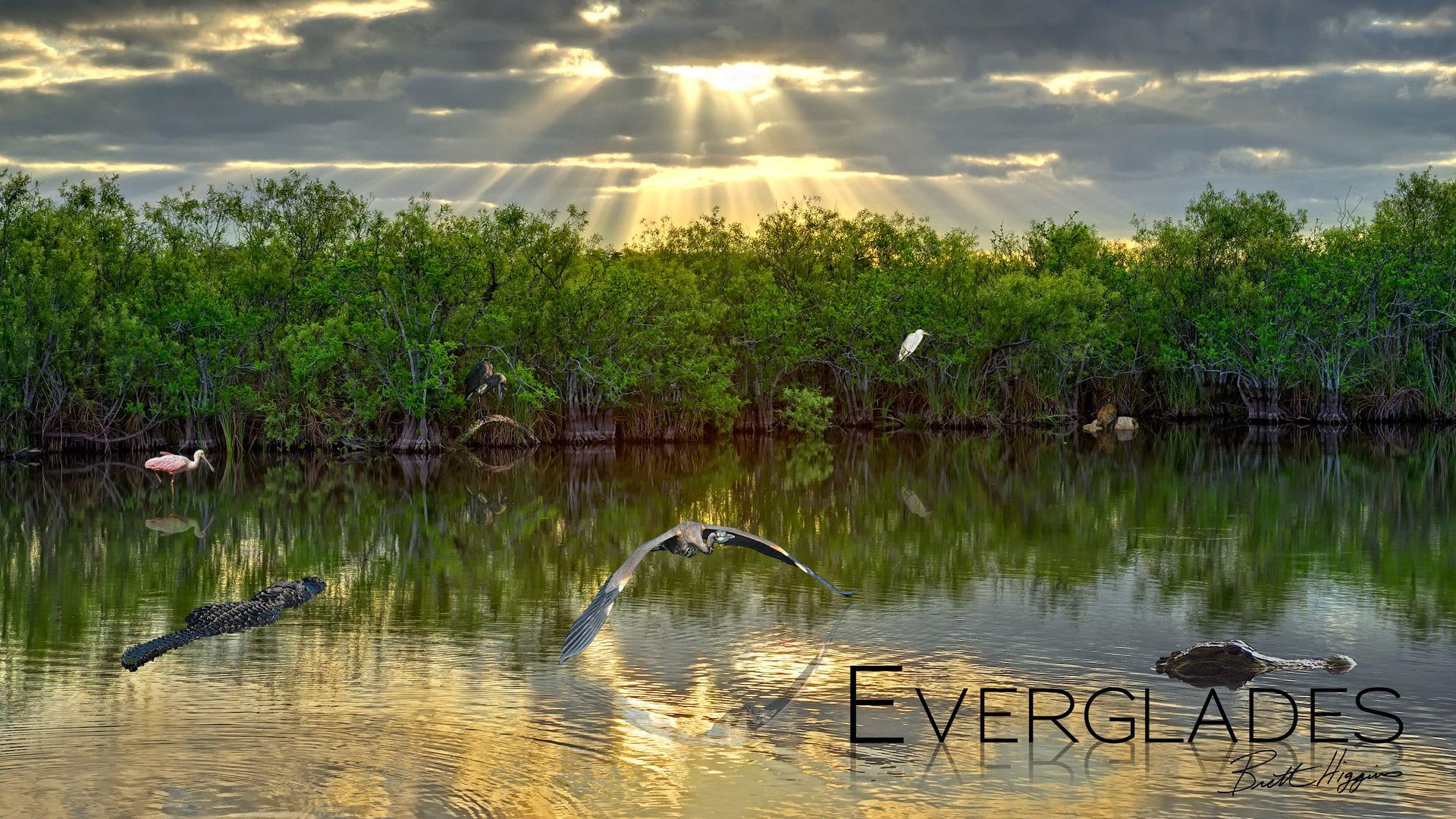 Everglades National Park Wallpapers