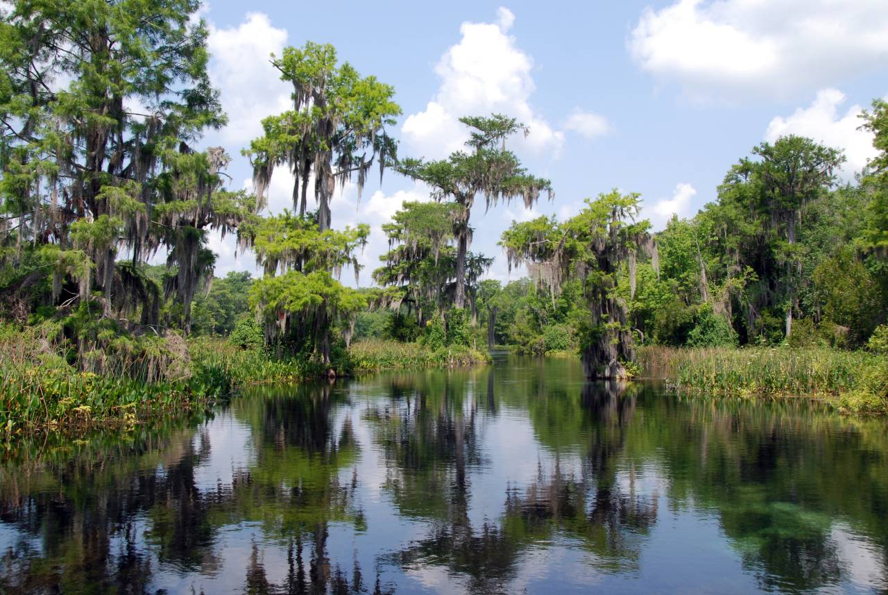 Everglades National Park Wallpapers