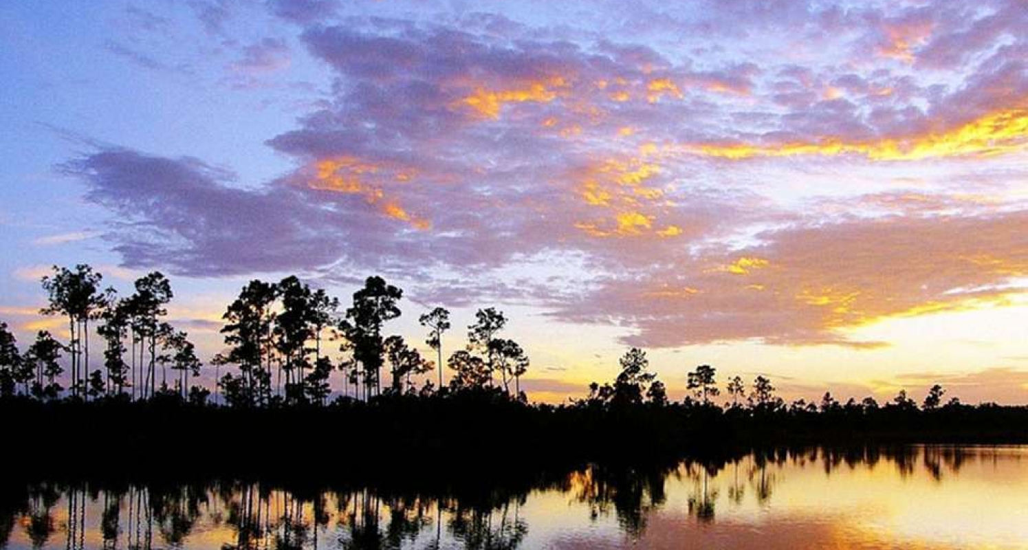 Everglades National Park Wallpapers