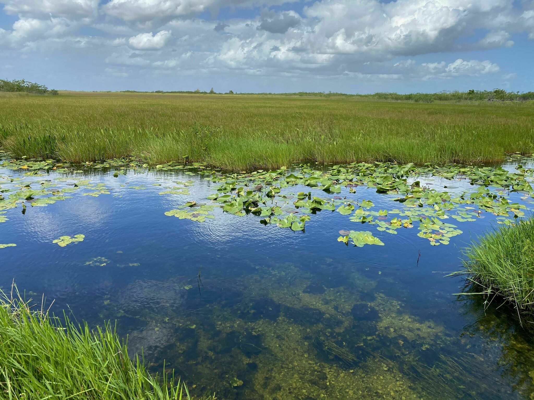 Everglades National Park Wallpapers