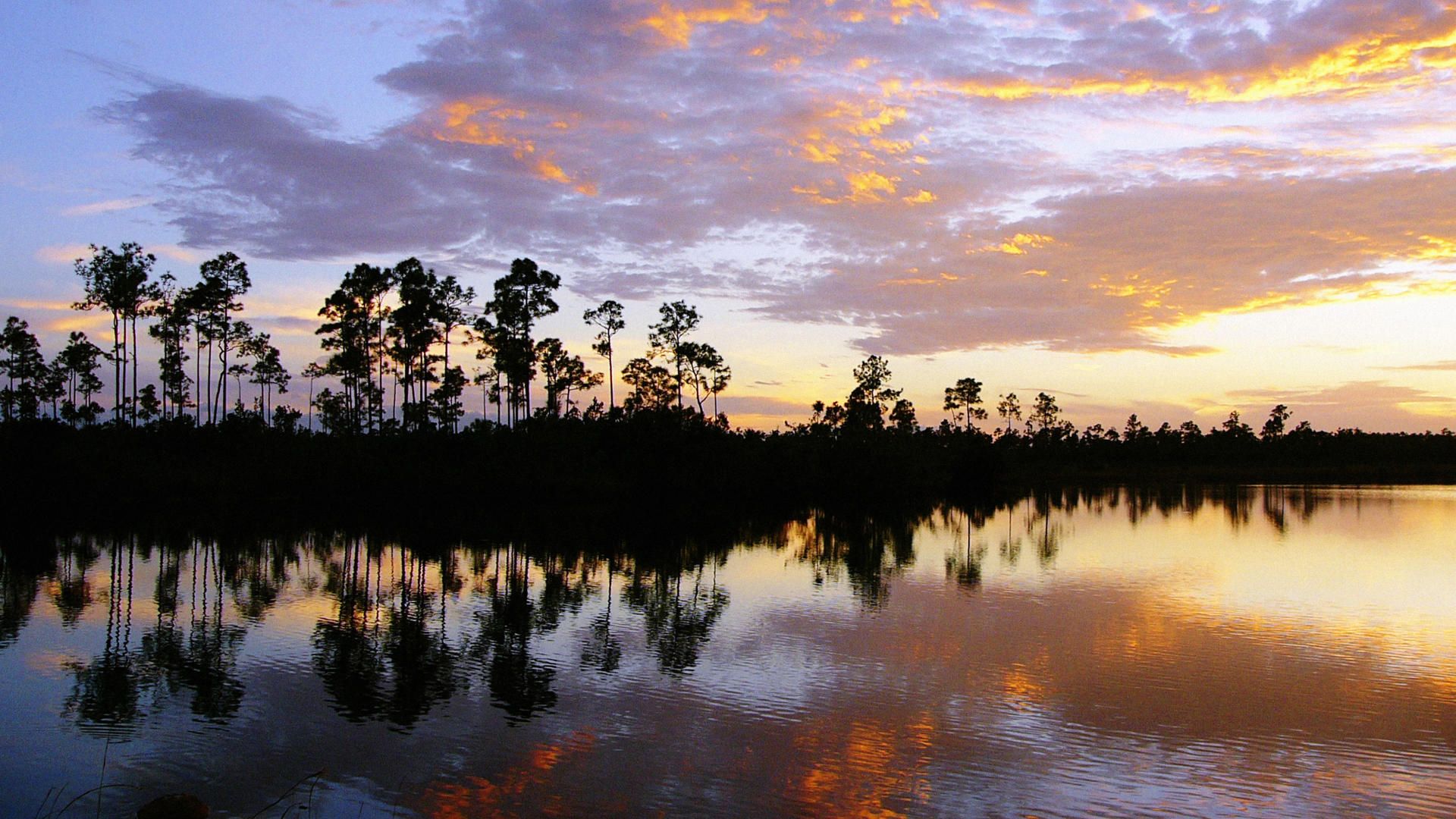 Everglades National Park Wallpapers