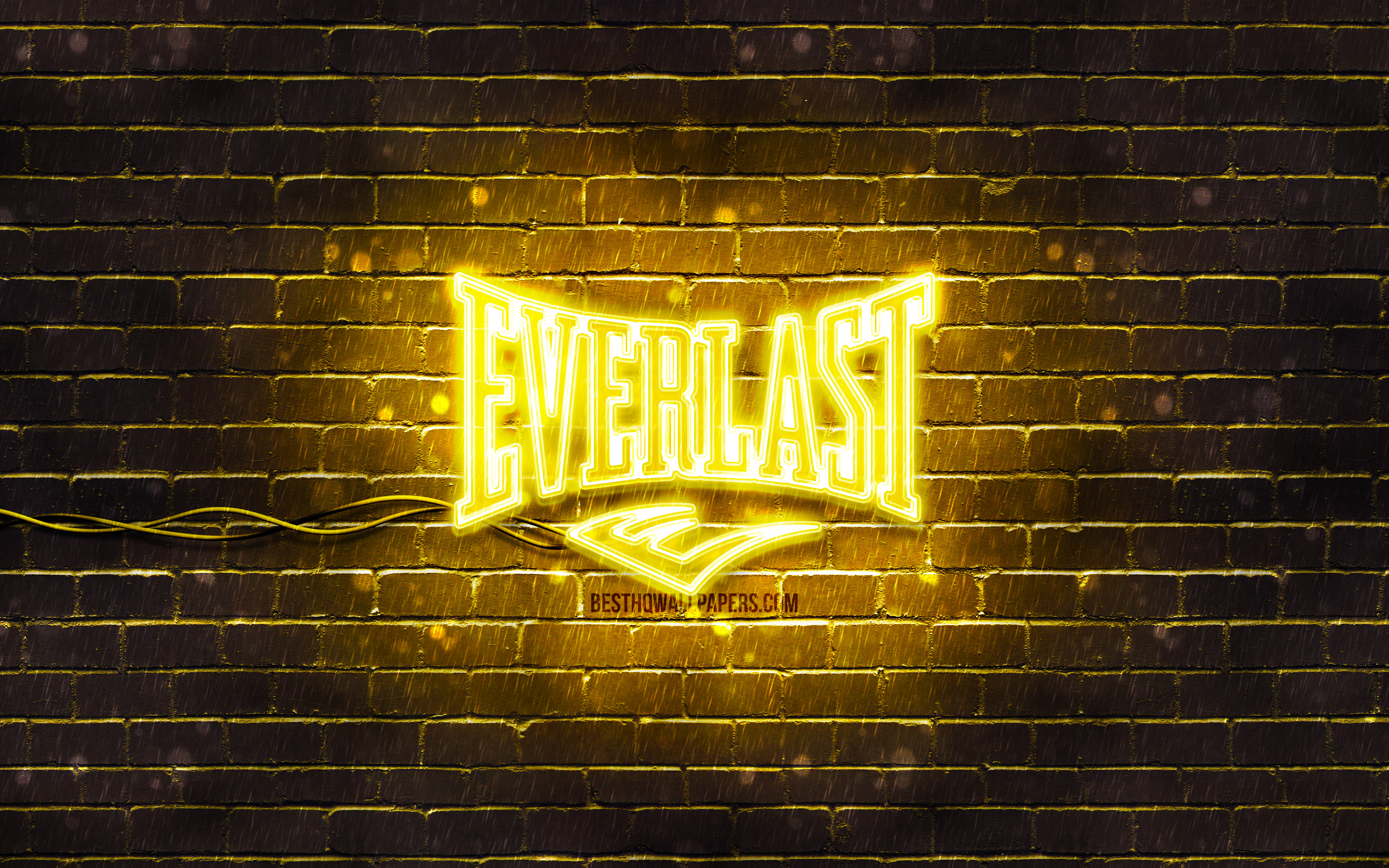 Everlast Wallpapers