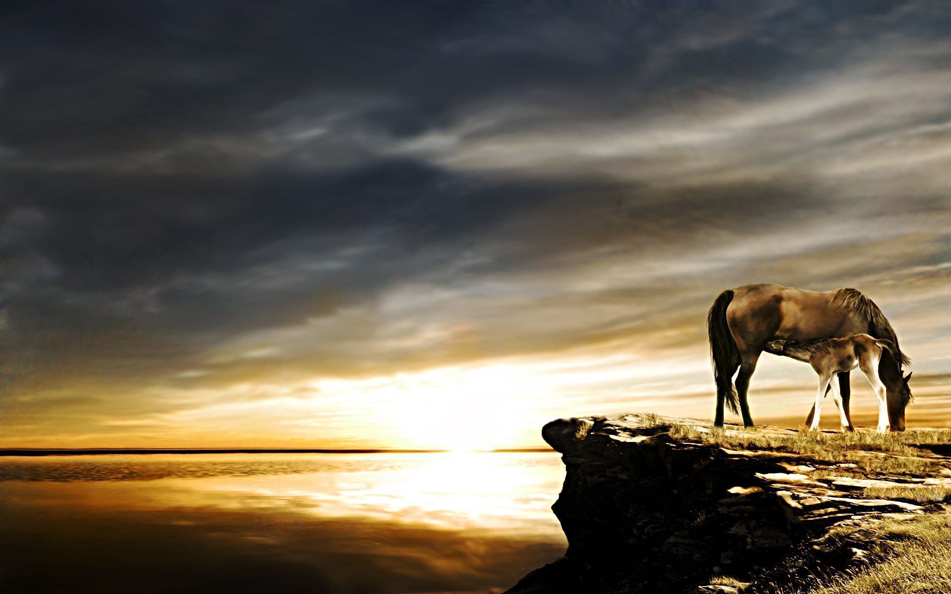 Evil Riding Horse In Sunset Wallpapers