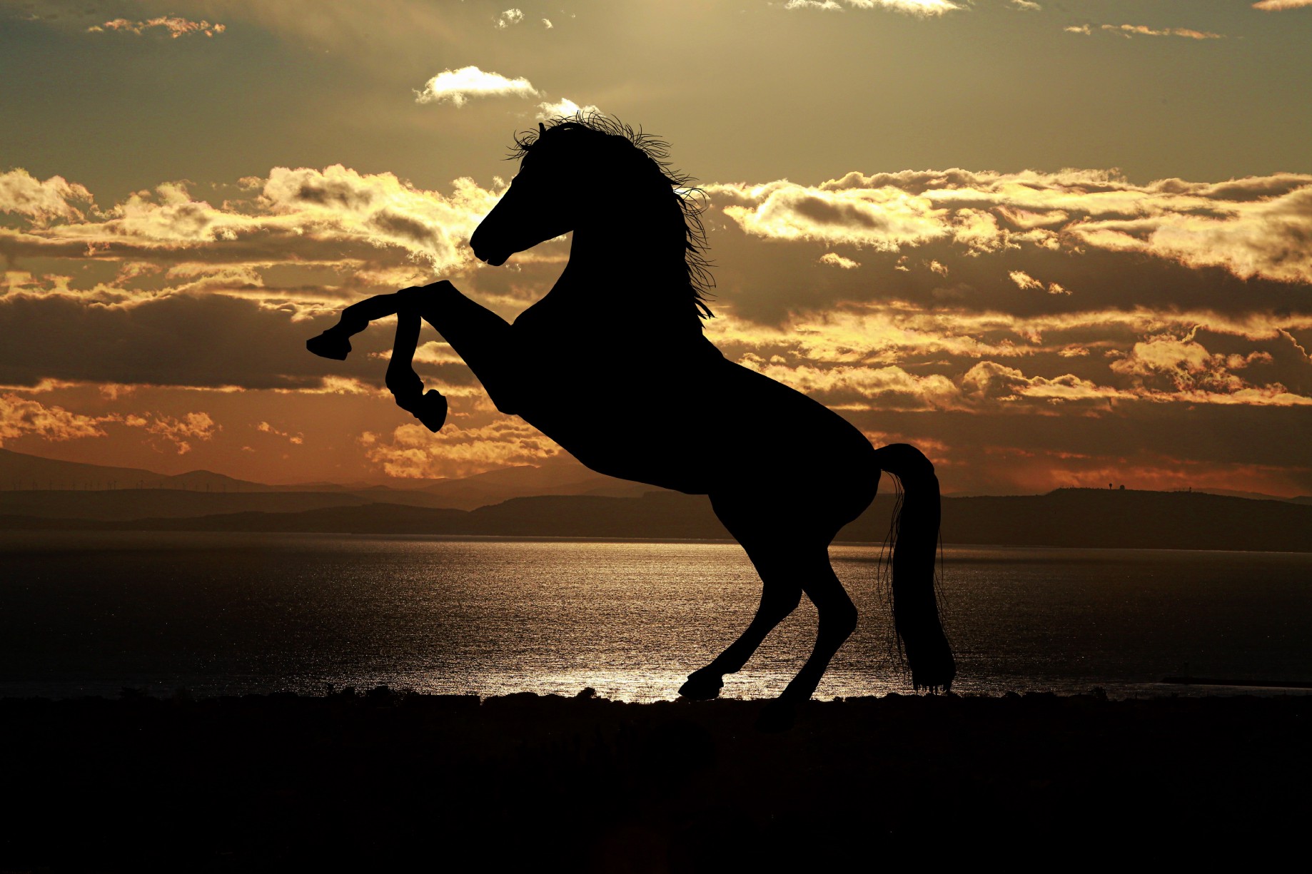 Evil Riding Horse In Sunset Wallpapers