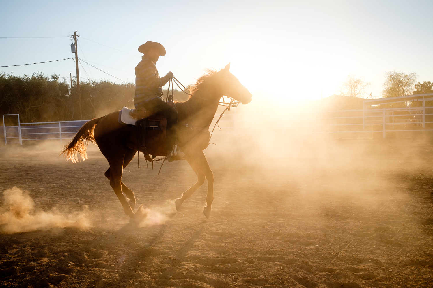 Evil Riding Horse In Sunset Wallpapers