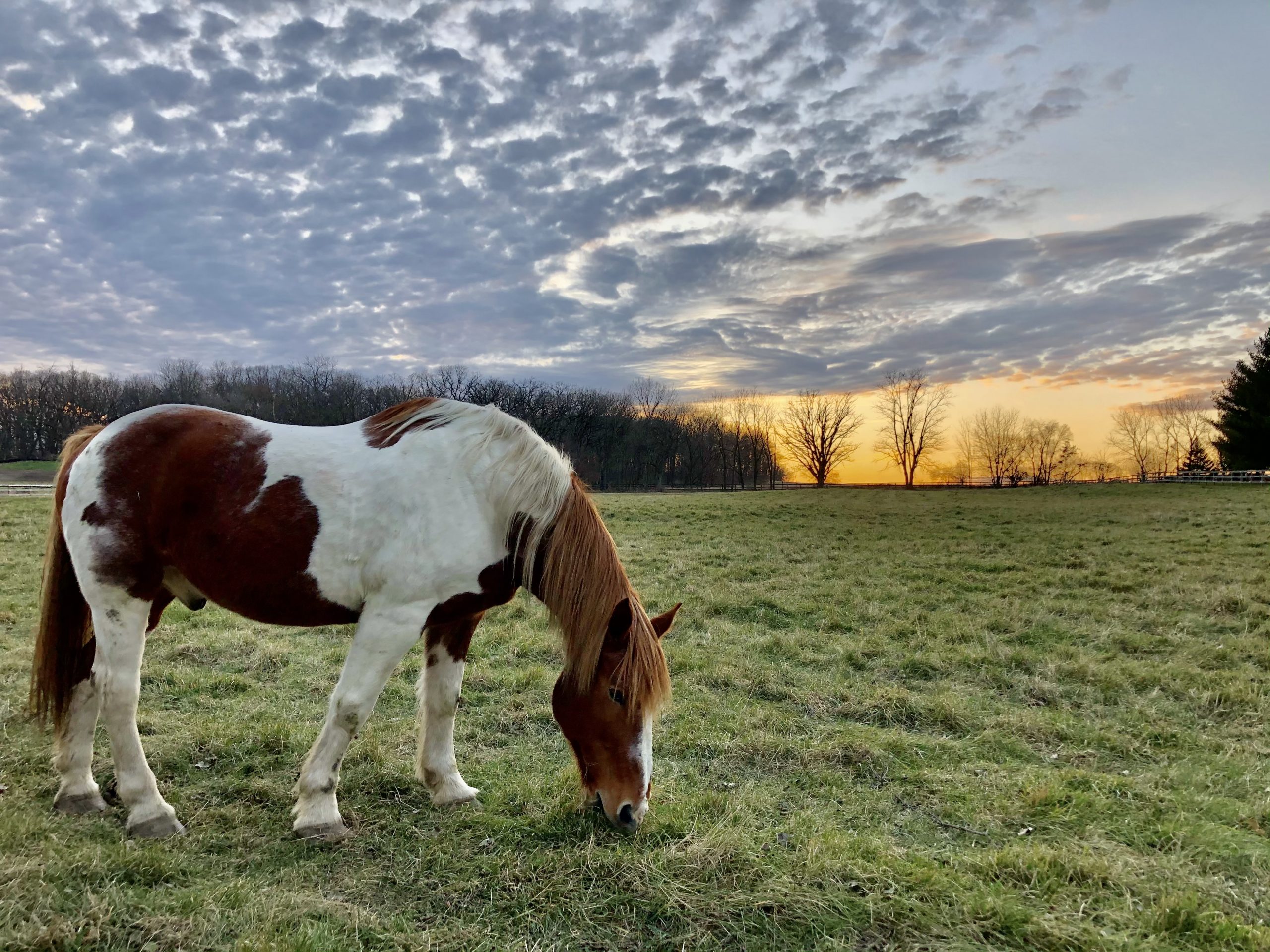 Evil Riding Horse In Sunset Wallpapers