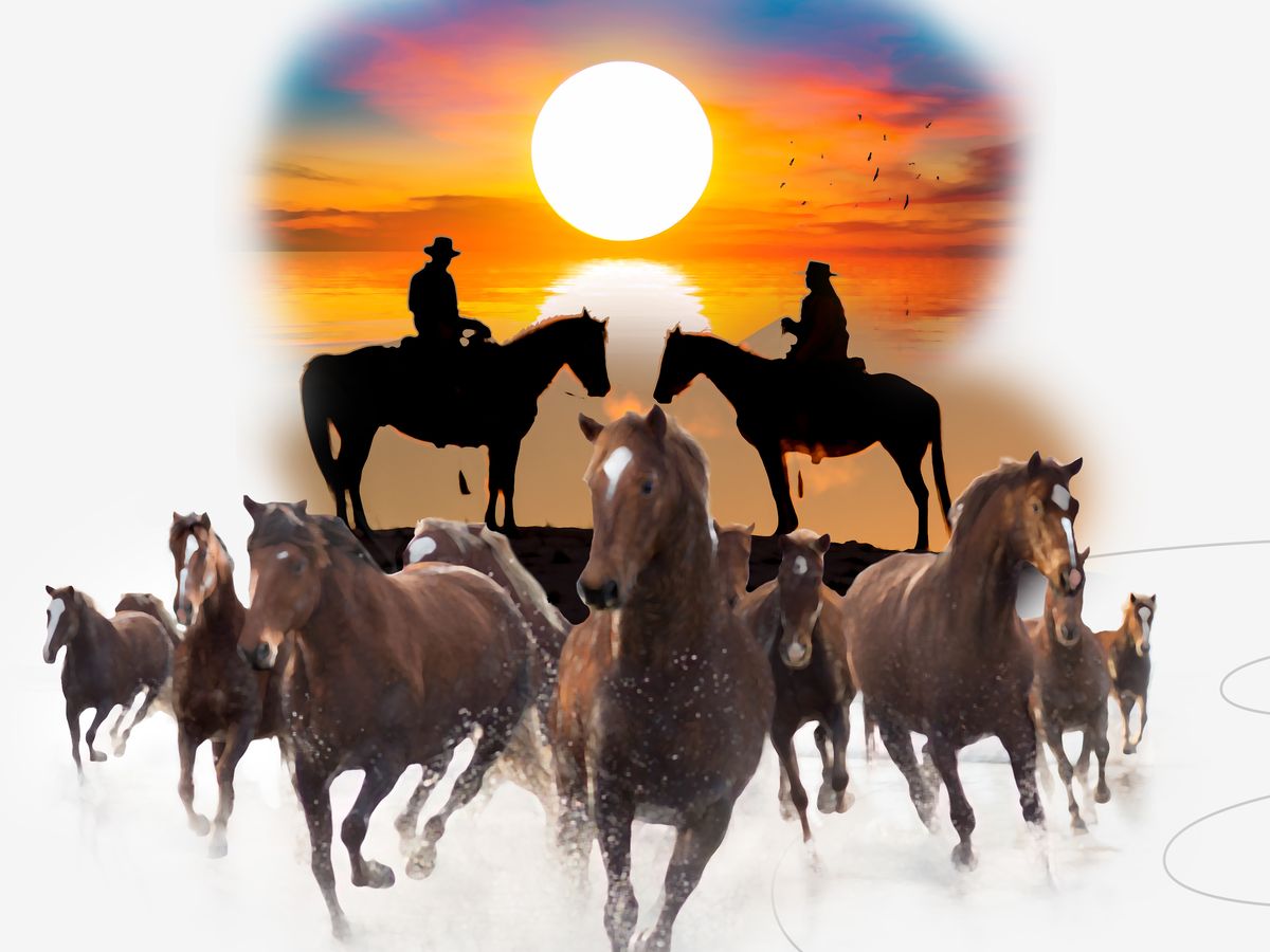 Evil Riding Horse In Sunset Wallpapers