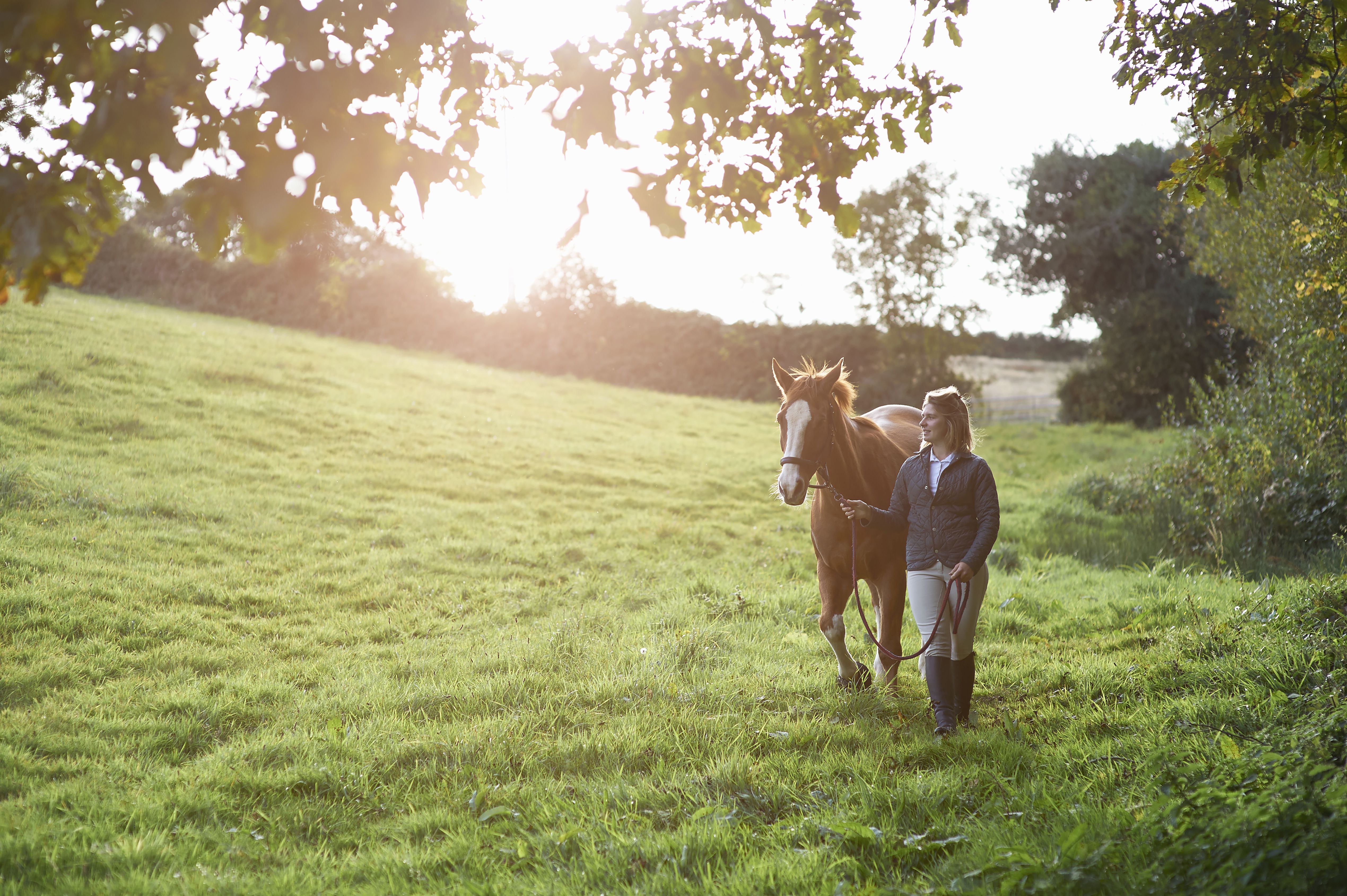 Evil Riding Horse In Sunset Wallpapers