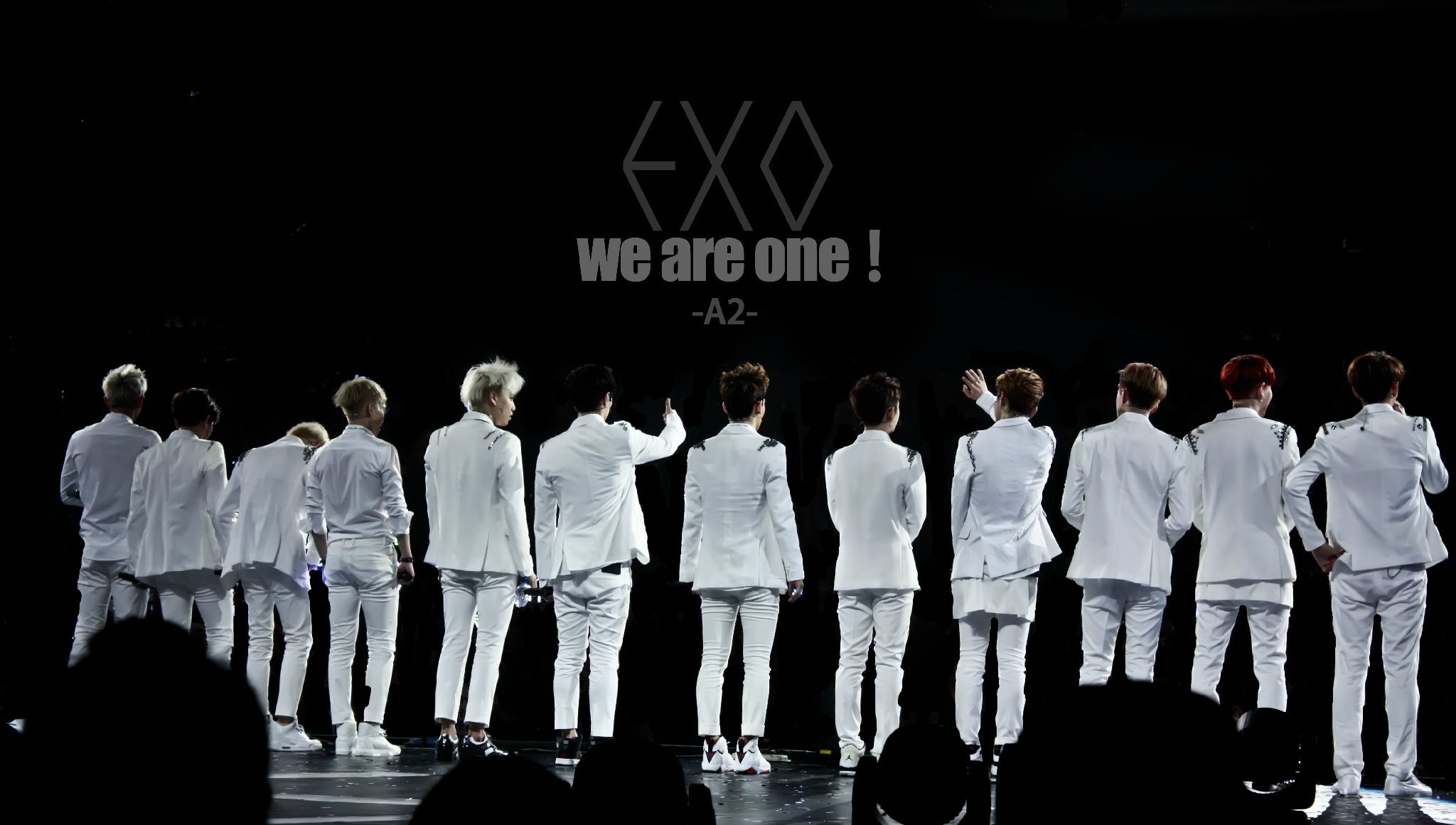 Exo Ot12 Wallpapers