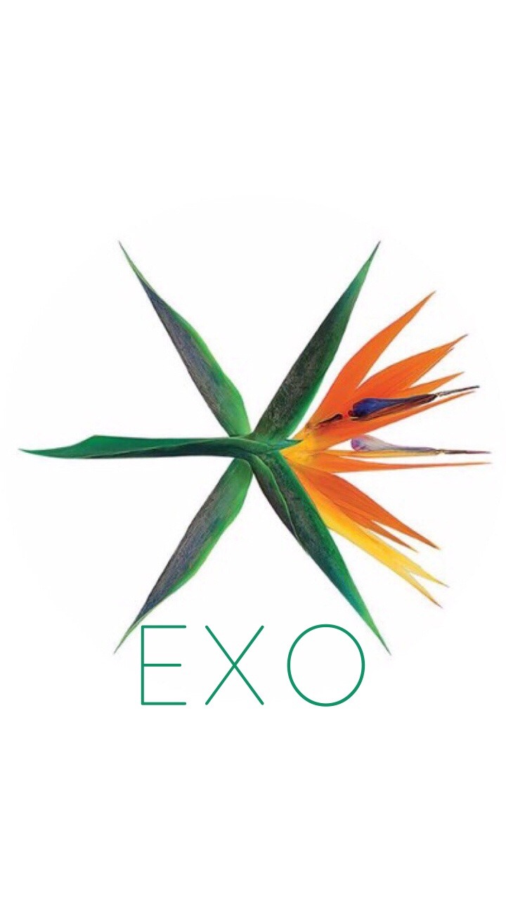 Exo Symbol Wallpapers