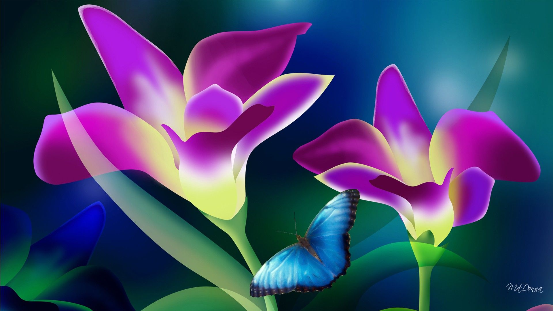 Exotic Flowers Images Wallpapers