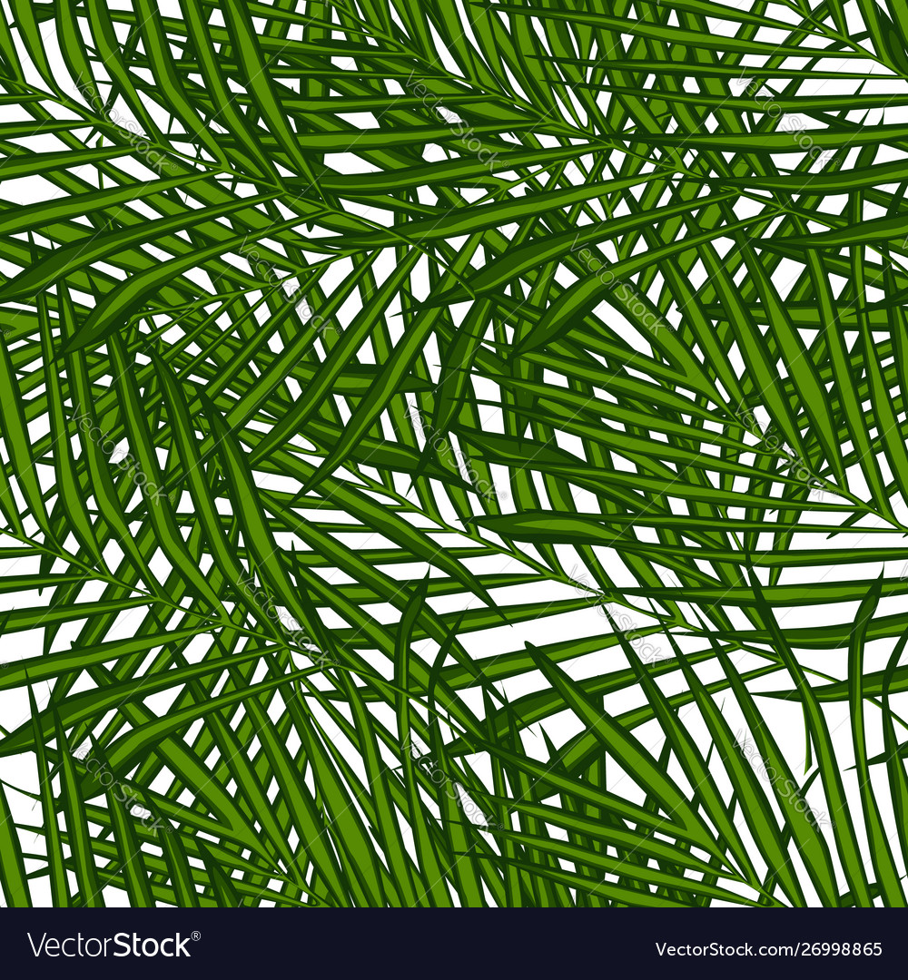 Exotic Green Wallpapers