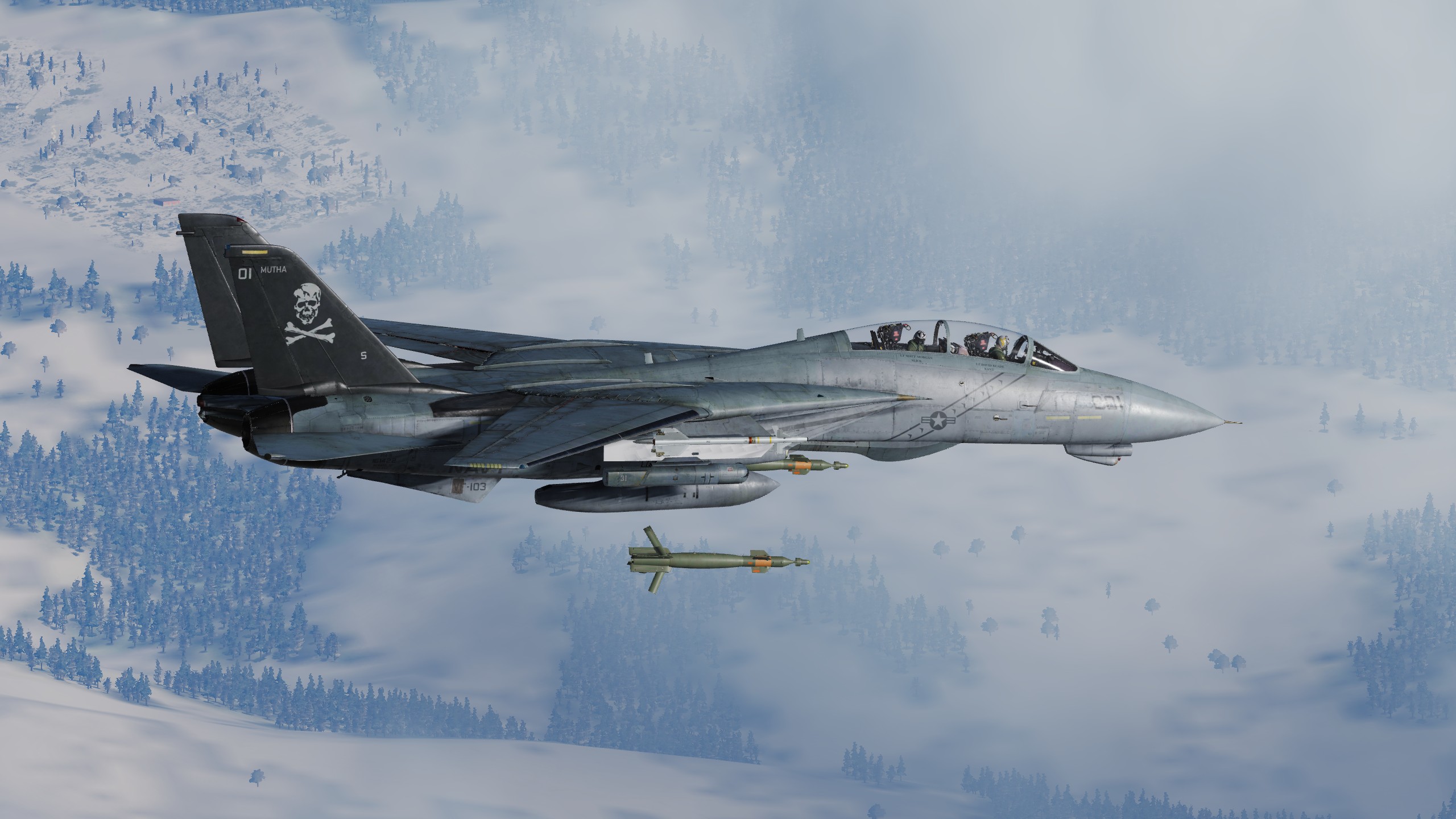 F-14 Wallpapers