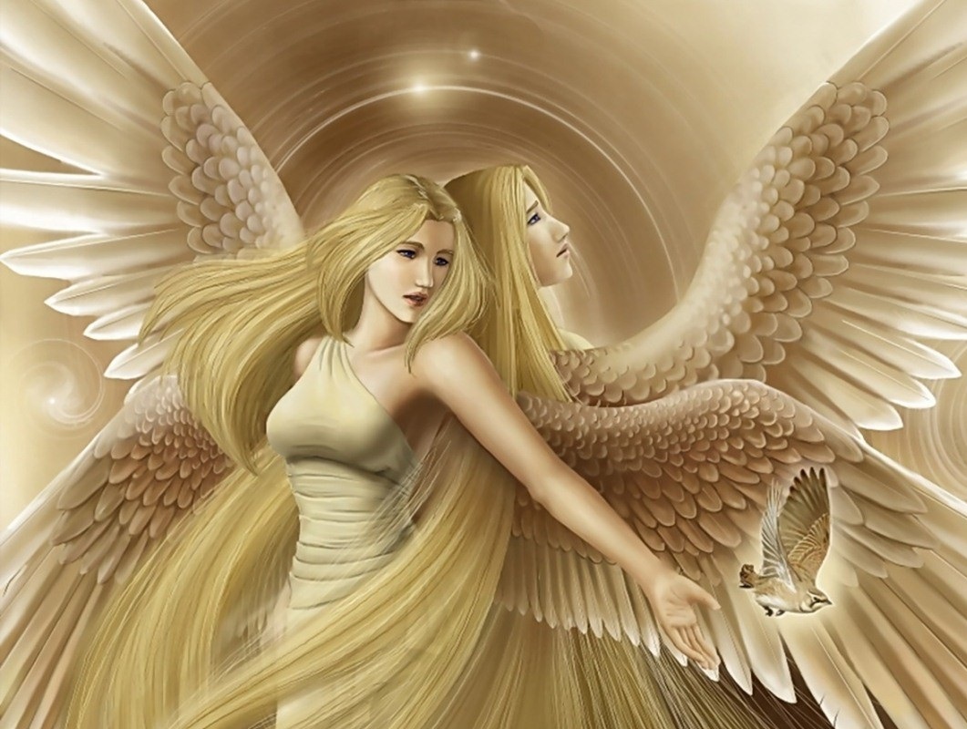 Fairies And Angels Images Wallpapers