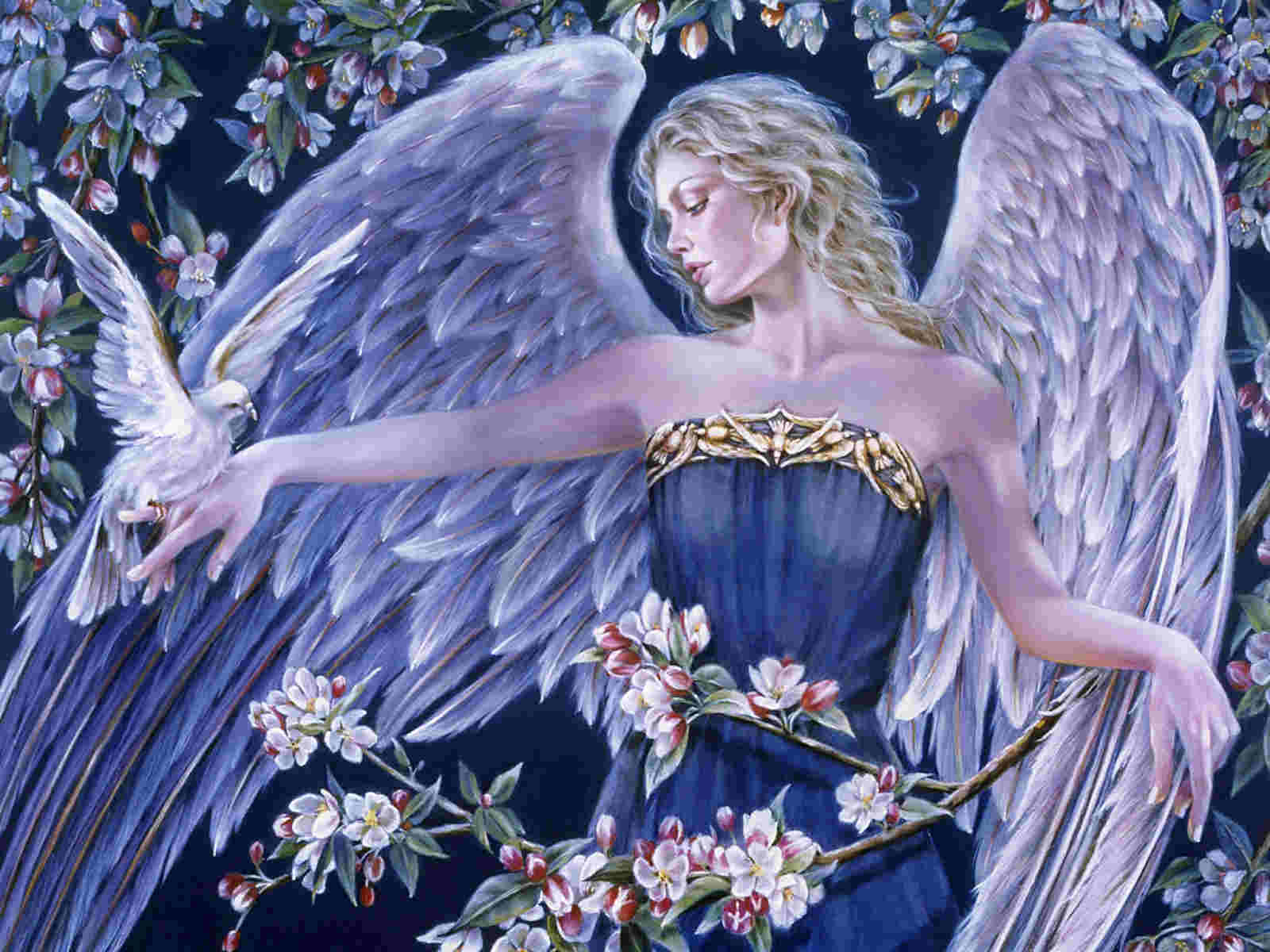 Fairies And Angels Images Wallpapers