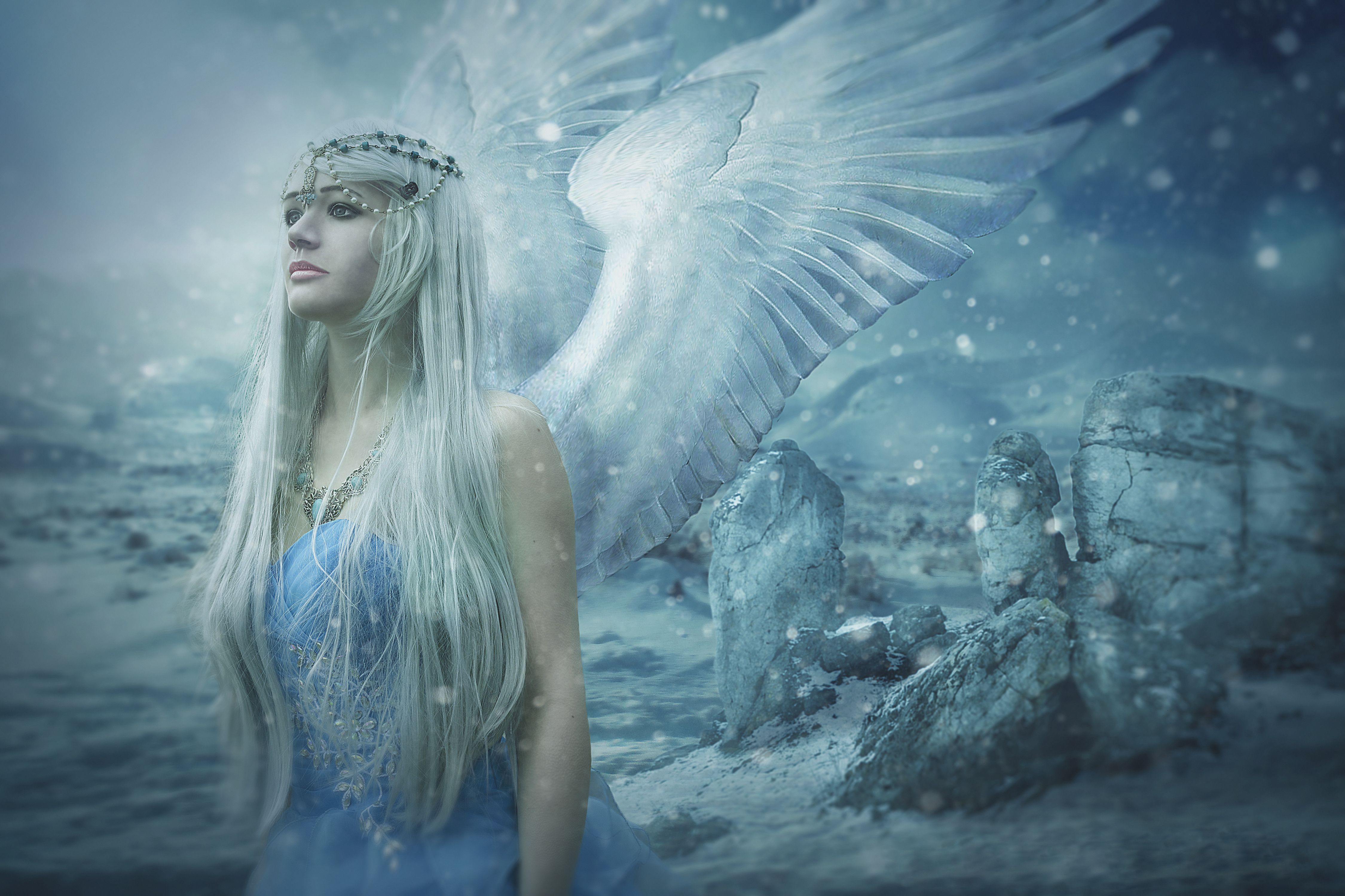 Fairies And Angels Images Wallpapers