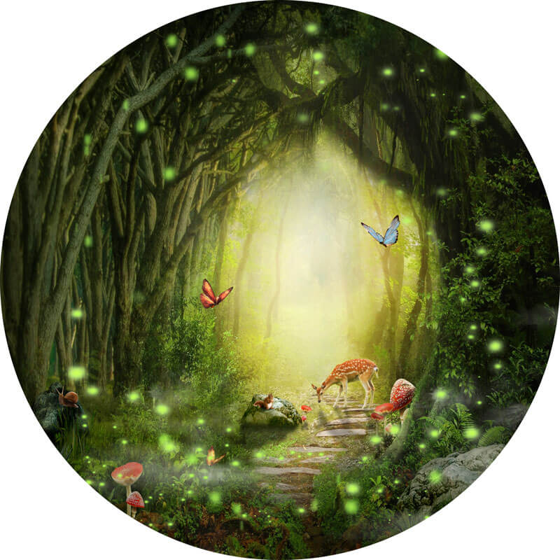 Fairy Forest Background