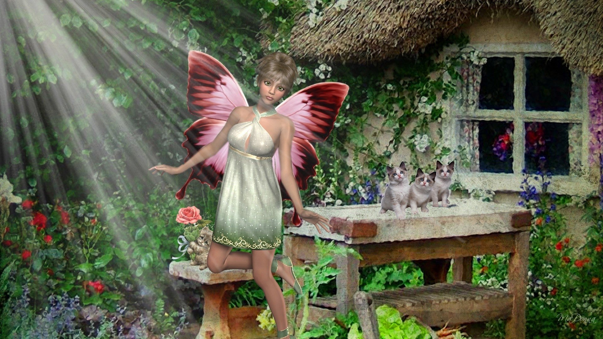 Fairy Garden Wallpapers